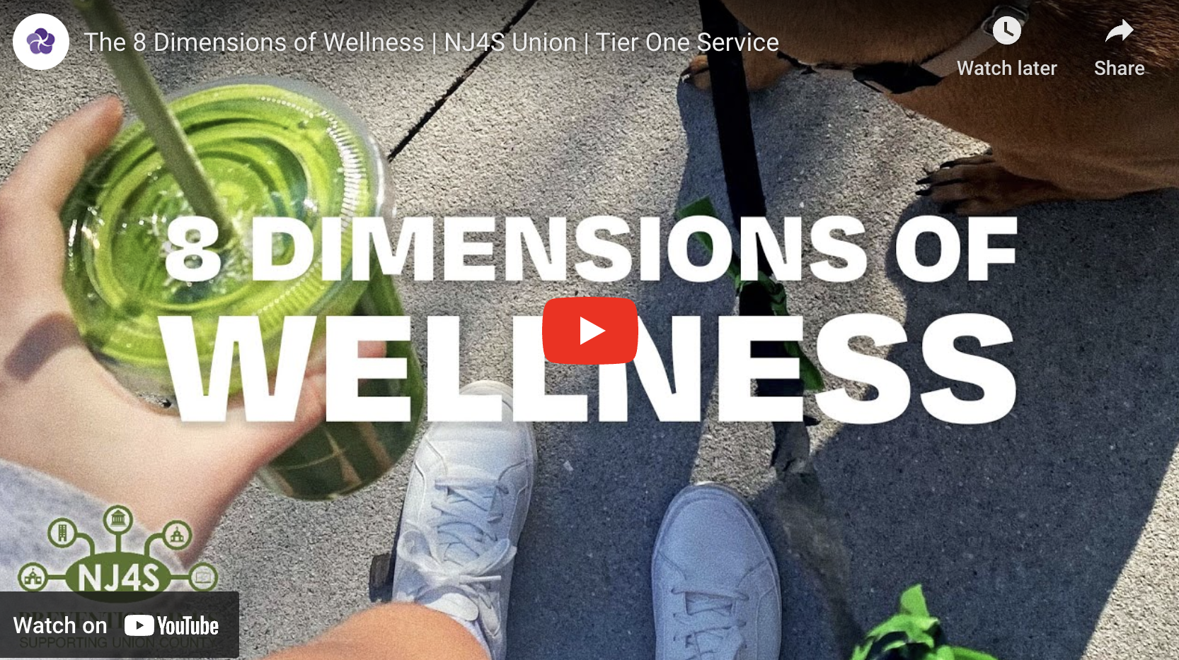 The 8 Dimensions of Wellness